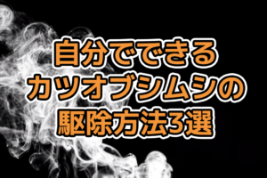 カツオブシムシ　駆除方法